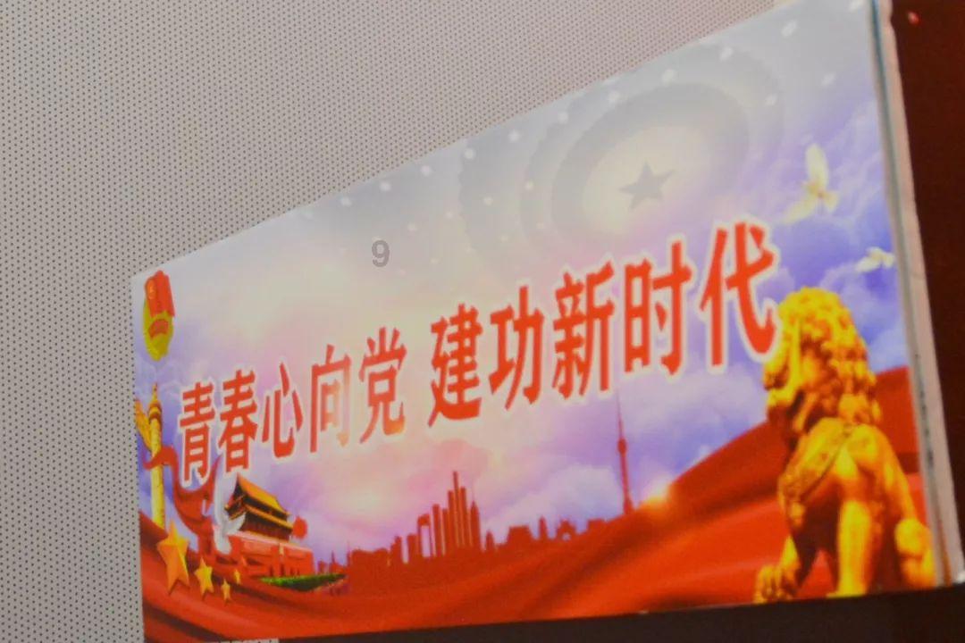 拯救受伤的猫