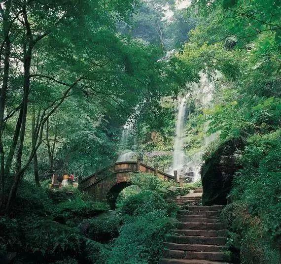 出差途中遭遇胎膜早破 紧急分娩1130克宝宝母女平安